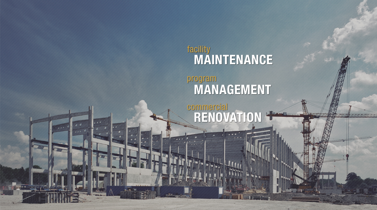 Image Not Found On Media Library