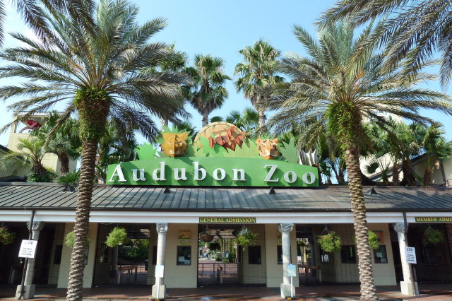 Image Not Found On Media Library