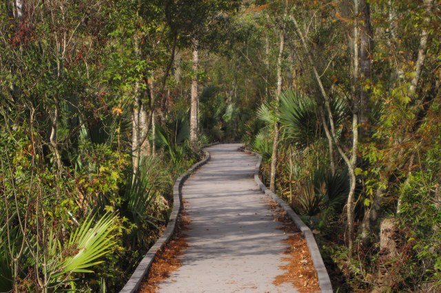 Image Not Found On Media Library